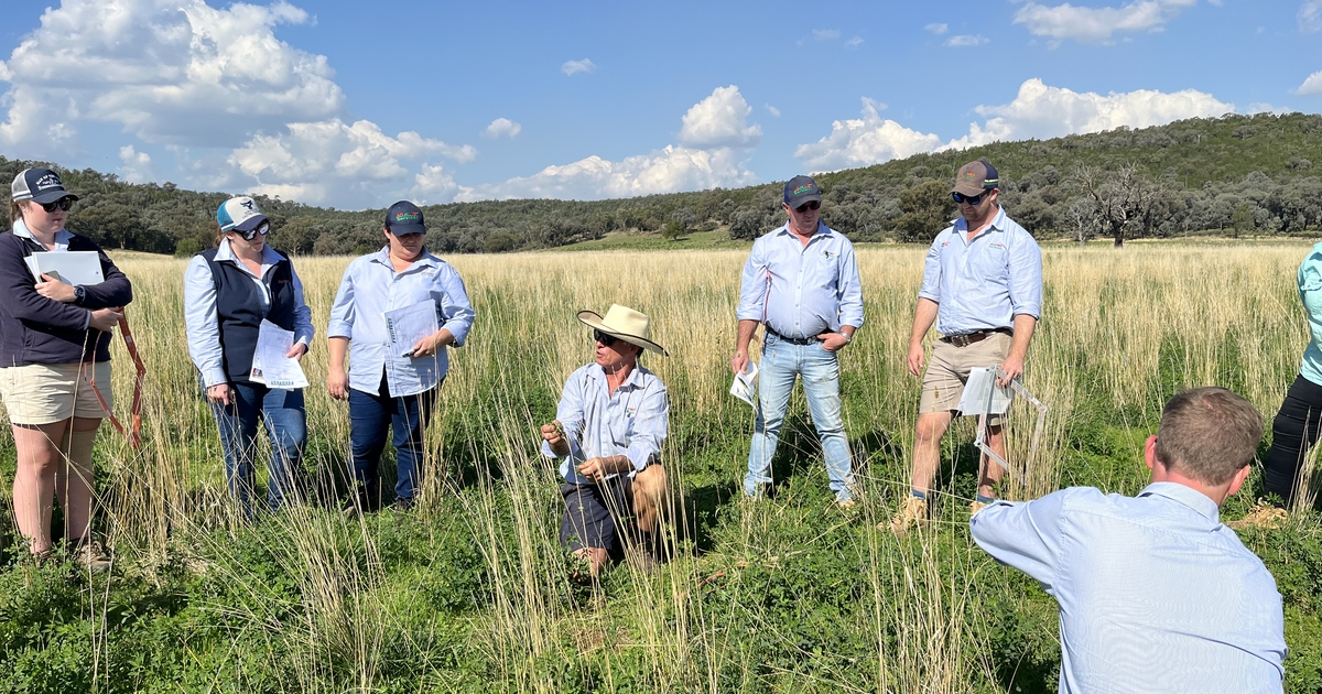AWI Extension networks provide education for woolgrowers in their state.